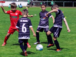 Hillen Cup 2024